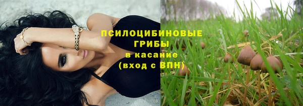 а пвп мука Михайлов